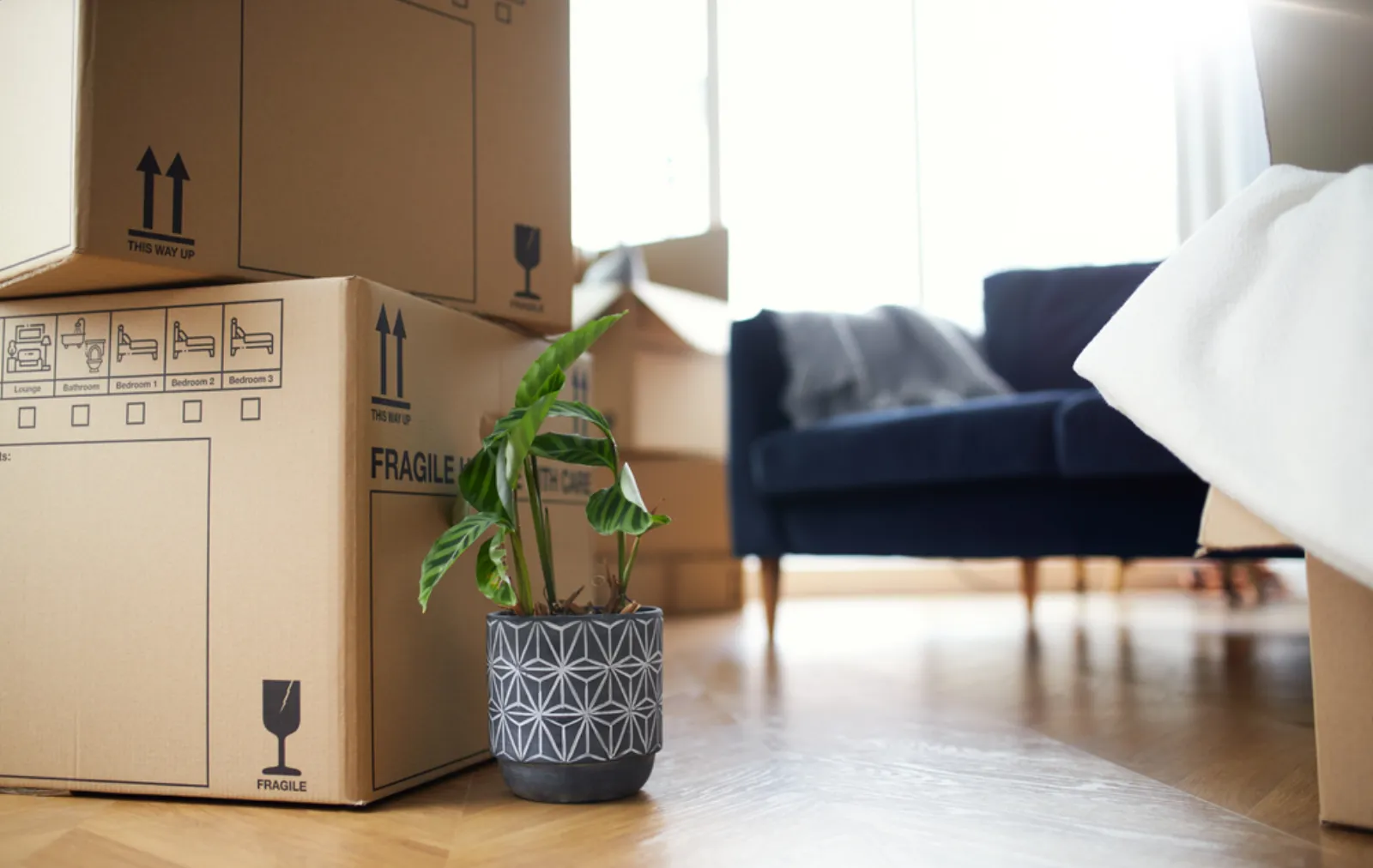 FAQs service — Hervey Bay Door 2 Door